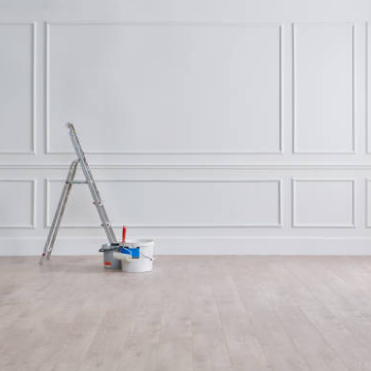 Paradise Painters BC